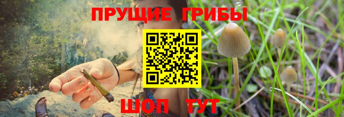 Псилоцибиновые грибы мухоморы Ликино-Дулёво